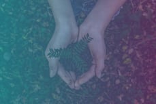 hands holding a plant