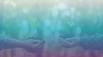 two set of hands holding two plants